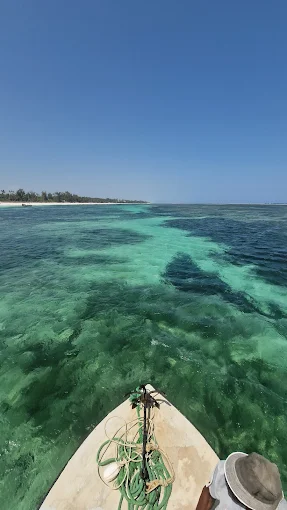 Chale Island (Boat ride , Snorkeling)