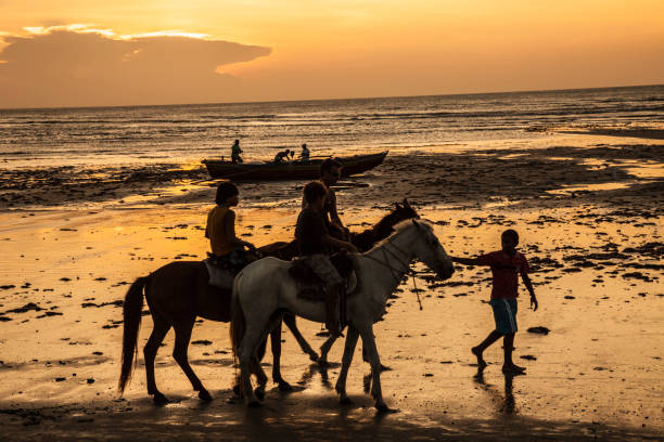 Horse Riding – Diani Beach